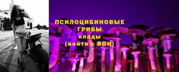 твердый Зерноград