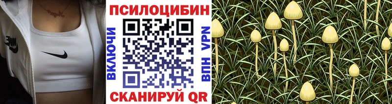 Галлюциногенные грибы Magic Shrooms  Купить закладки  Вичуга 
